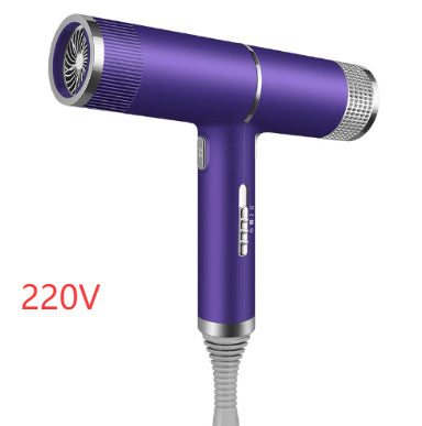 Smart Hair Dryer